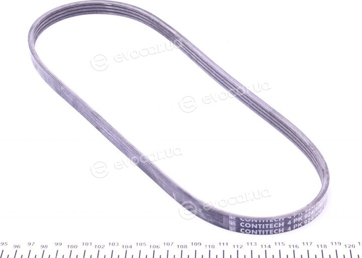 Continental 4PK924 ELAST