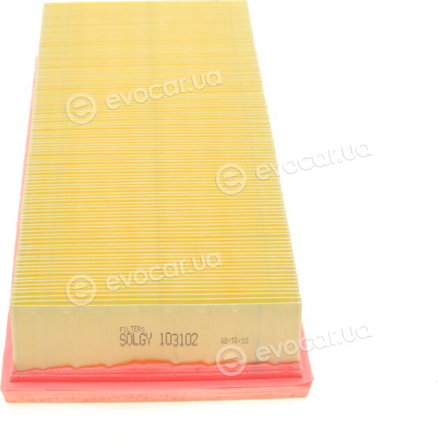 Solgy 103102