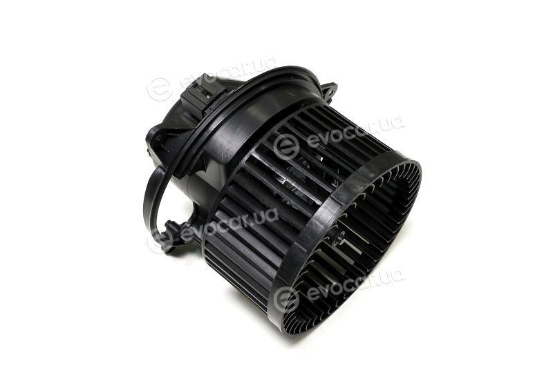 AVA FD8653