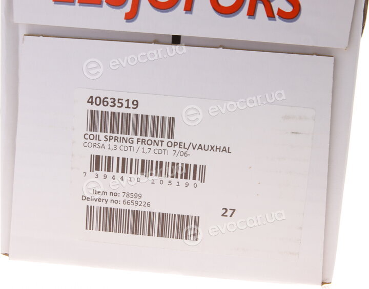Lesjofors 4063519