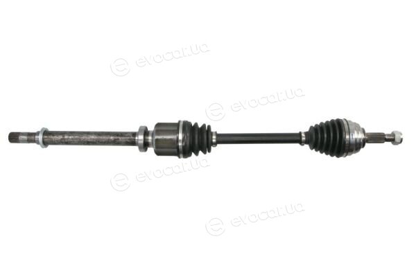 Pascal G2R083PC