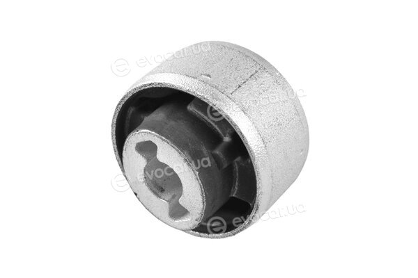 Tedgum TED56537