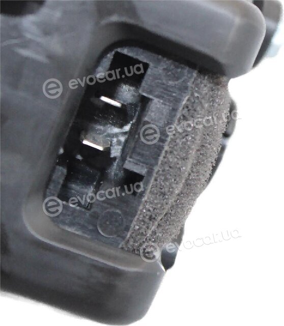 Walker / Fonos WBL00118