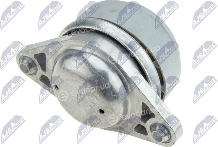 NTY ZPS-MS-011