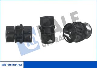 Kale 347025
