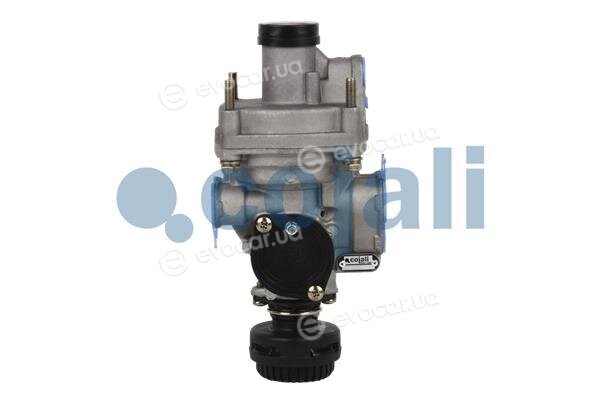 Cojali 2220349