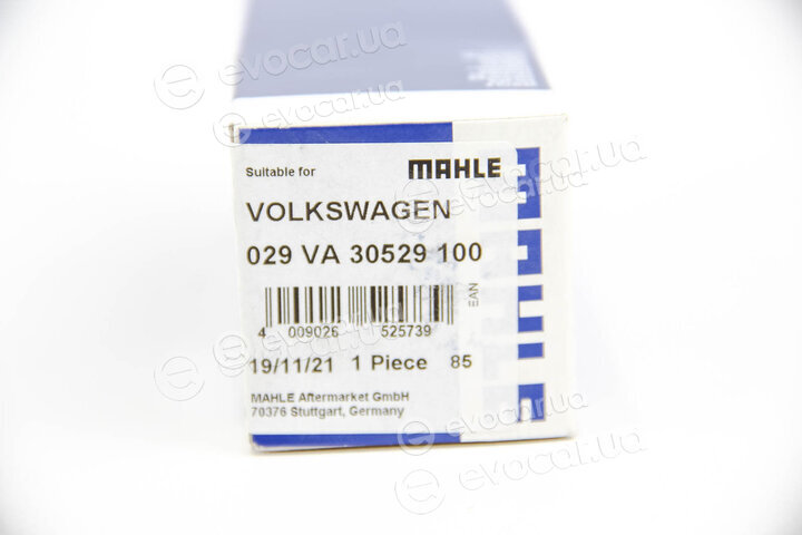 Mahle 029 VA 30529 100