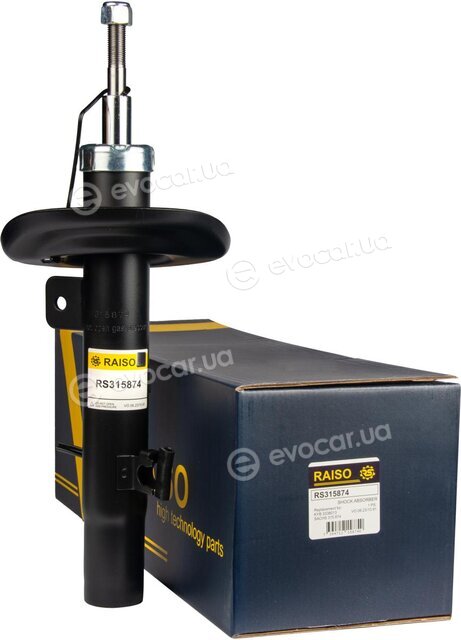 Raiso RS315874