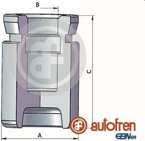 Autofren D025432