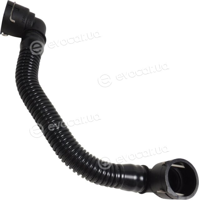 Mopar (PSA / FCA) 55556495
