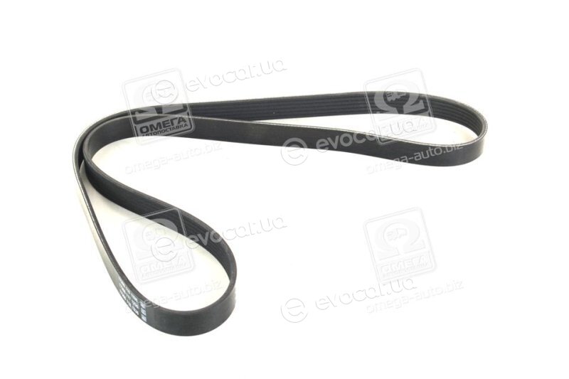 Dayco 6PK1255