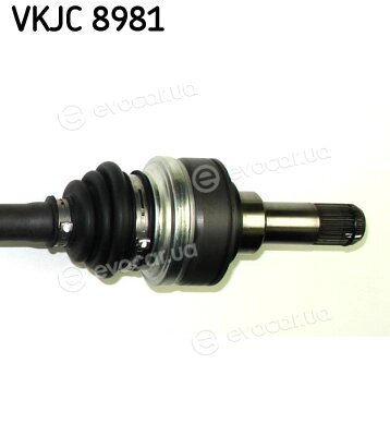 SKF VKJC 8981