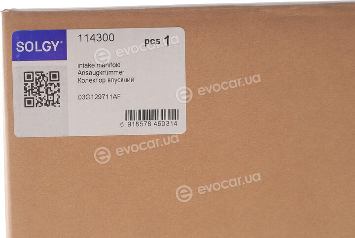 Solgy 114300