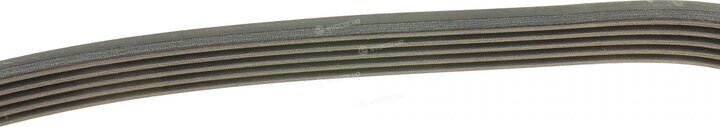 Dayco 5PK1000