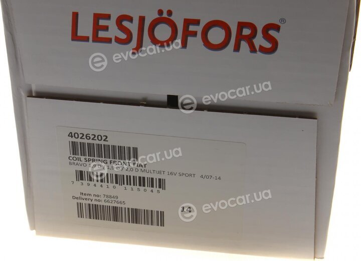 Lesjofors 4026202