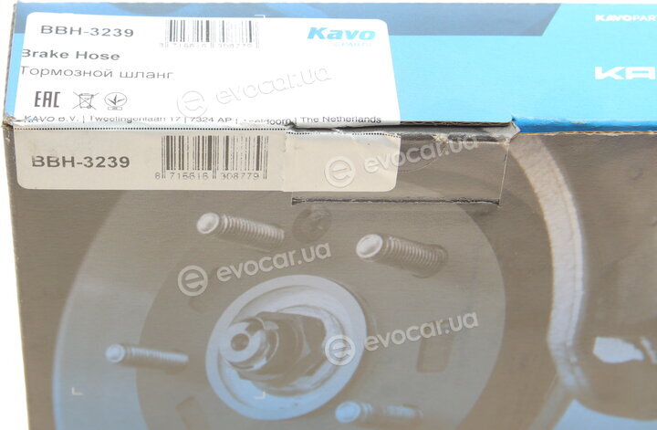Kavo BBH-3239