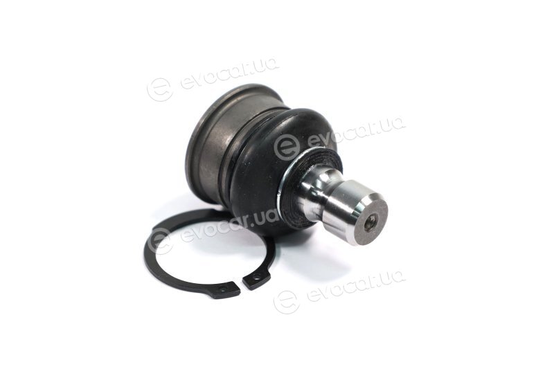 SKF VKDS 812009