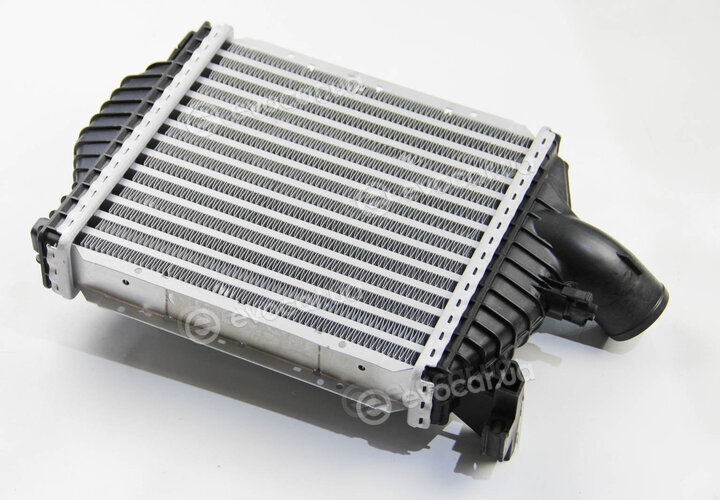 Mahle CI 106 000P