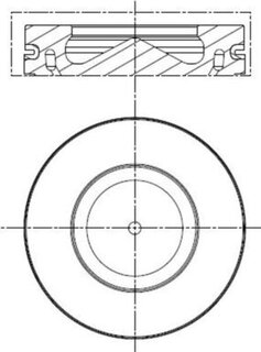 Mahle 081 PI 00113 002