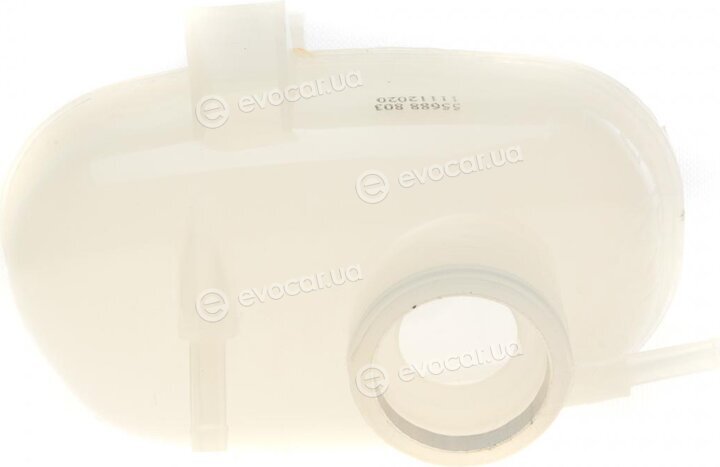 AIC 55688