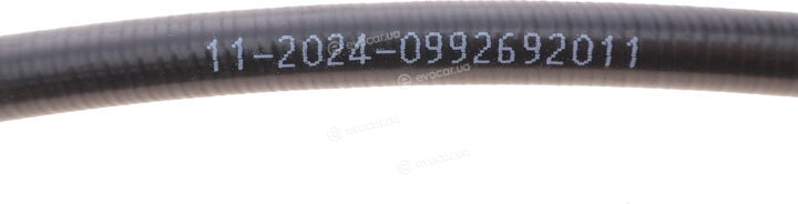 Solgy 219031