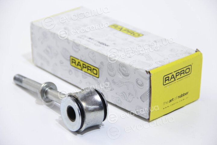 Rapro R59170