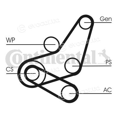 Continental 6PK1059 ELAST T2