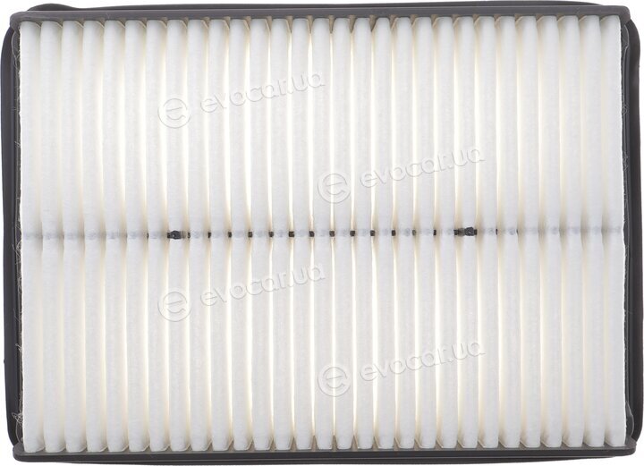 Solgy 103161