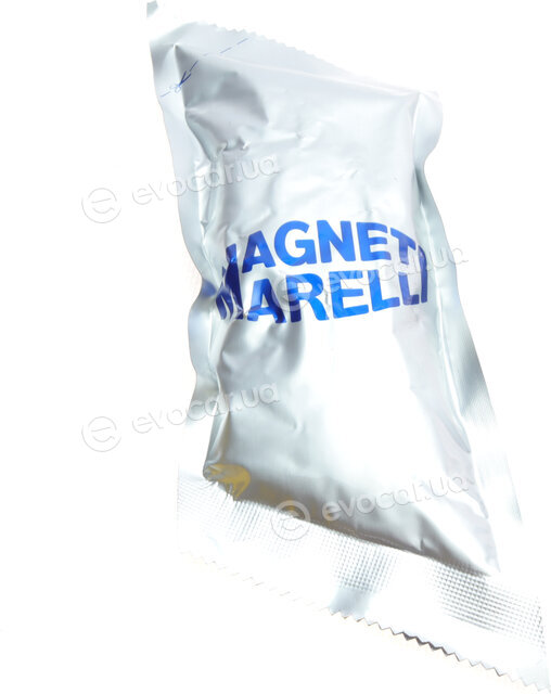 Magneti Marelli 302009100012