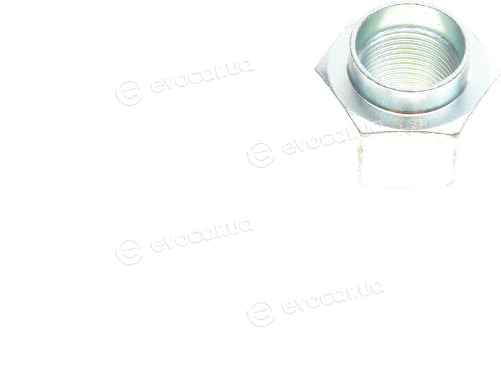Blue Print ADG08246