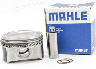Mahle 607 77 00