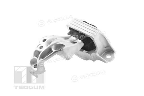 Tedgum TED81471