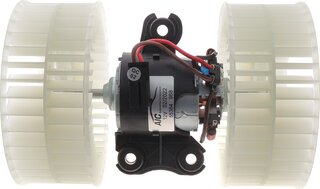 AIC 55364