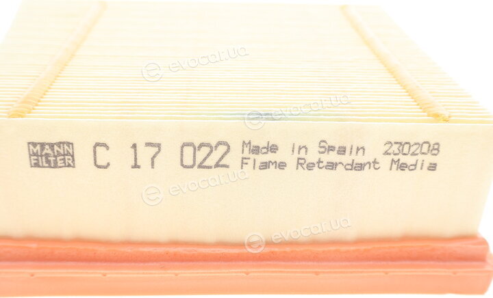 Mann C 17 022