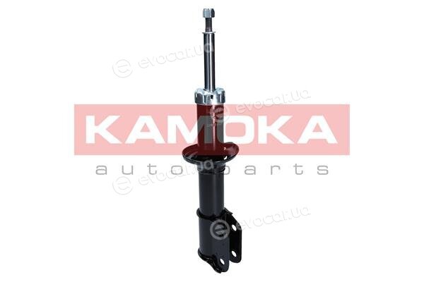 Kamoka 2001039