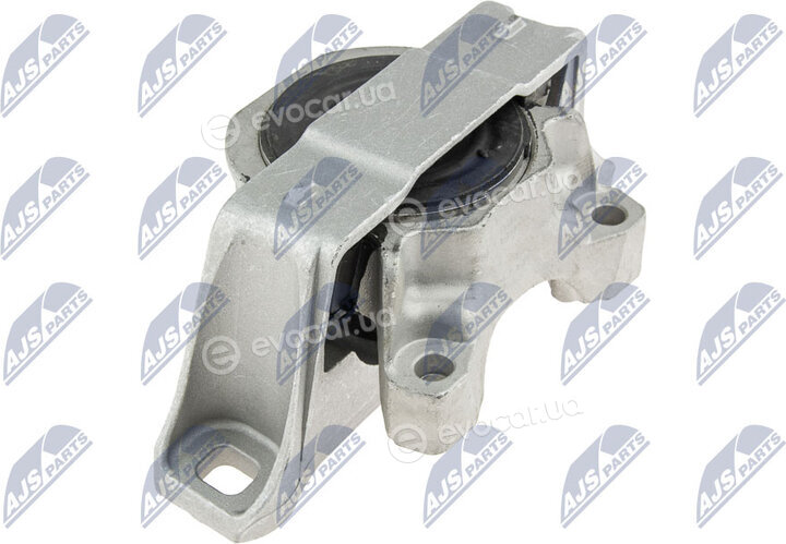 NTY ZPS-FR-021