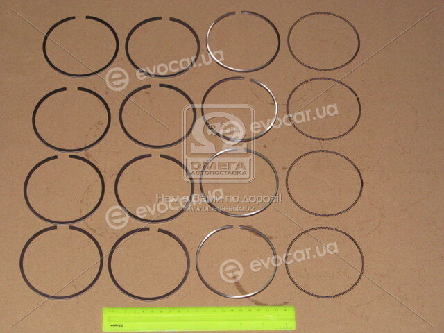 TP 33861STD