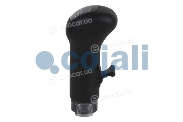 Cojali 2880141