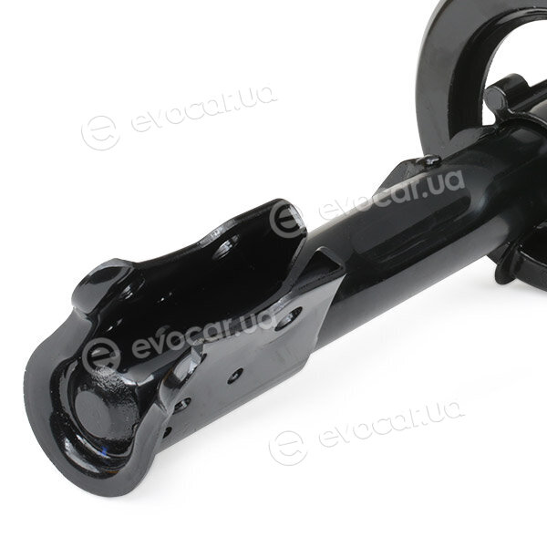 Ridex 854S0061