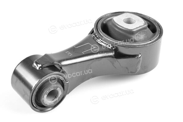 Tedgum TED52030
