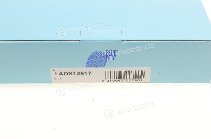 Blue Print ADN12517