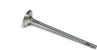 Gunes 4066