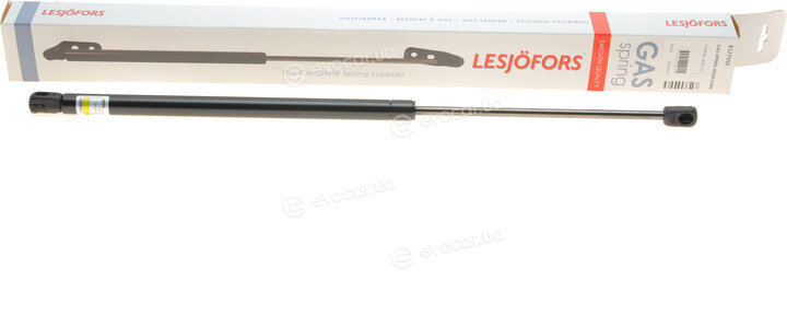 Lesjofors 8127555