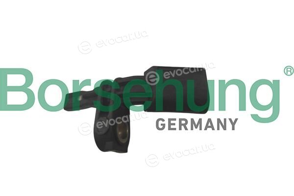 Borsehung B12866