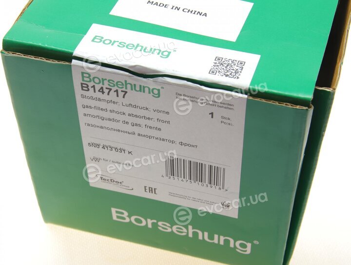 Borsehung B14717