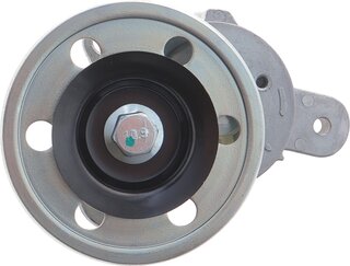 SKF VKM 61019