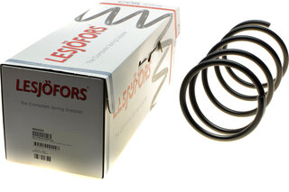 Lesjofors 4044203
