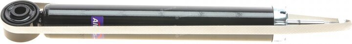 AIC 55281