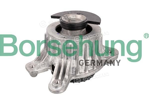 Borsehung B12646