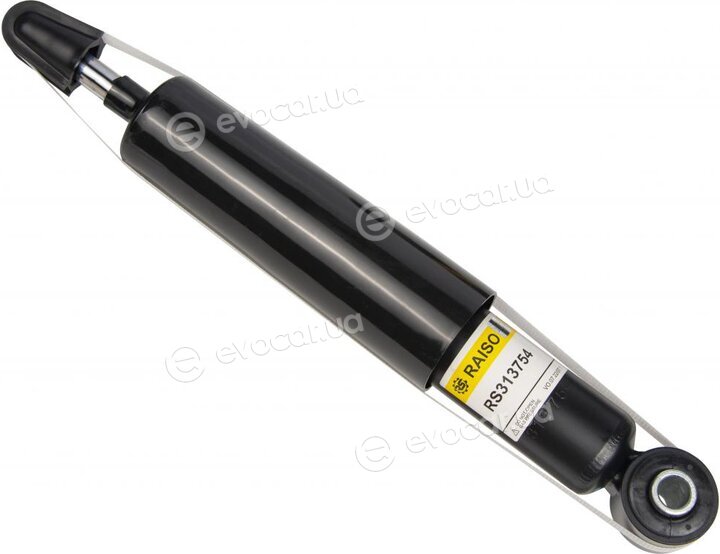 Raiso RS313754